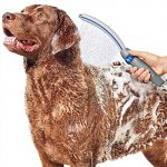 Waterpik PPR-252 Pet Wand Pro Dog Shower Attachment 13", Blue/Grey System for Fast and Easy Bathing