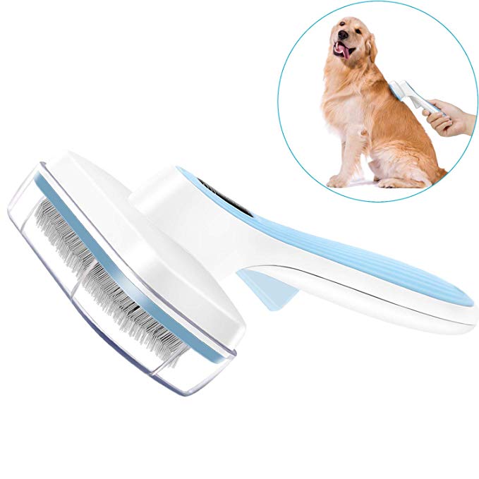 price dog brush